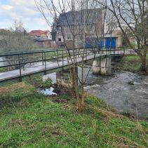 20210420_141710 (Copy).jpg