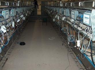 Neubau eines EFH (1) in Steinbrücken